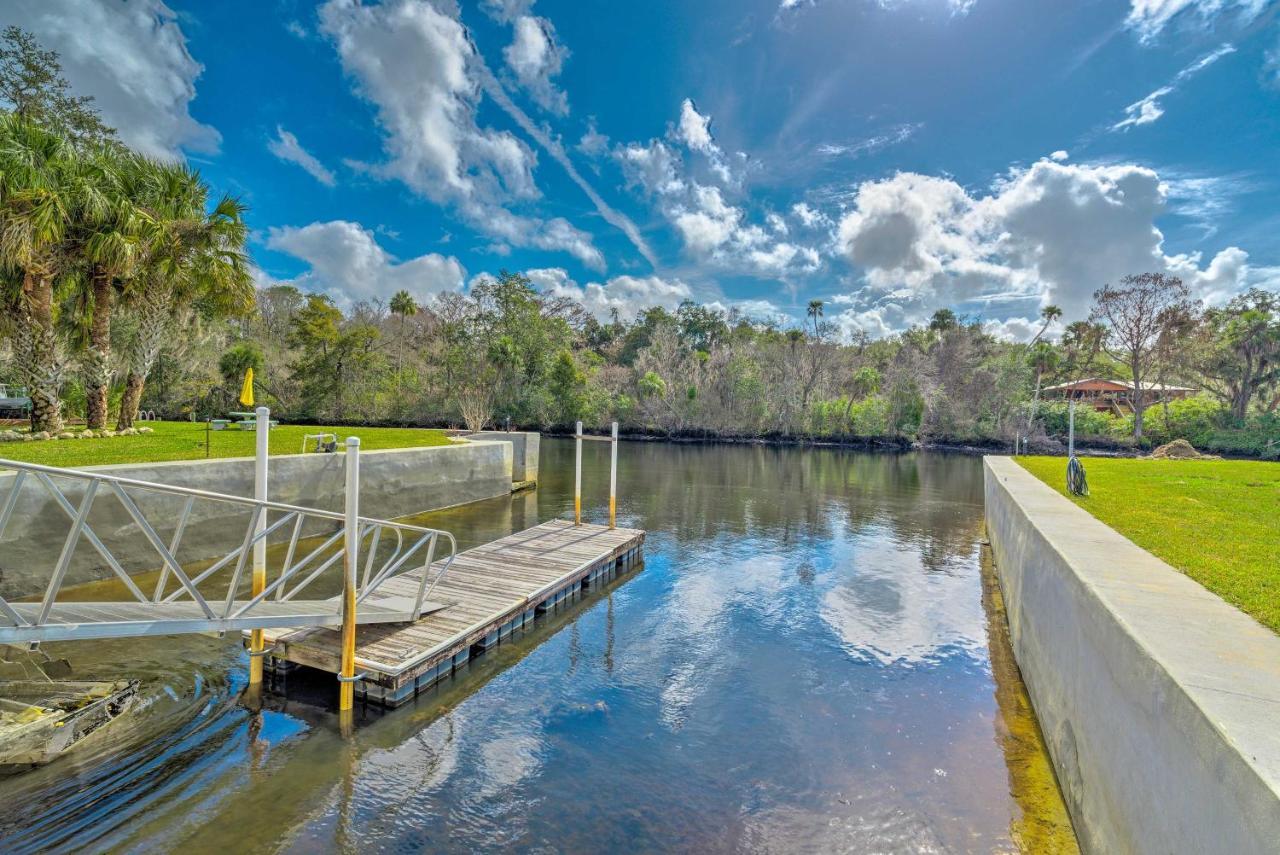 Withlacoochee River House With Dock And Kayaks! Yankeetown المظهر الخارجي الصورة